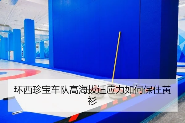 环西珍宝车队高海拔适应力如何保住黄衫